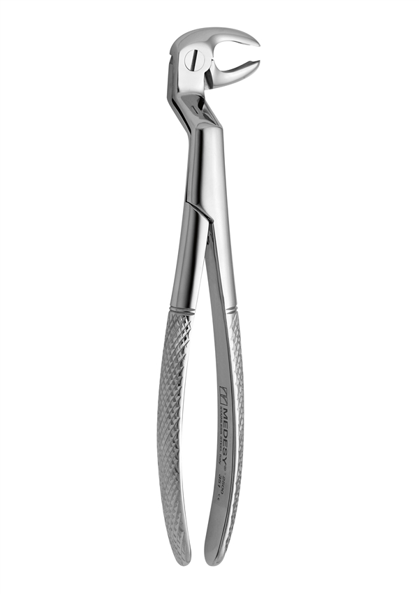 Lower molars and wisdoms right